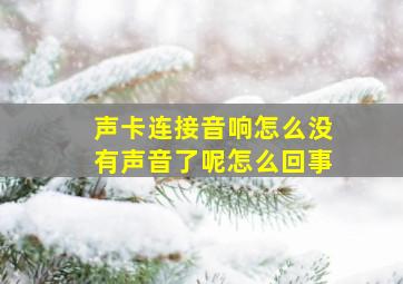 声卡连接音响怎么没有声音了呢怎么回事