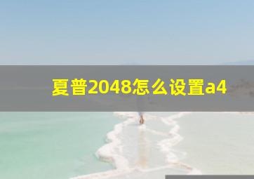 夏普2048怎么设置a4