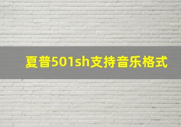 夏普501sh支持音乐格式