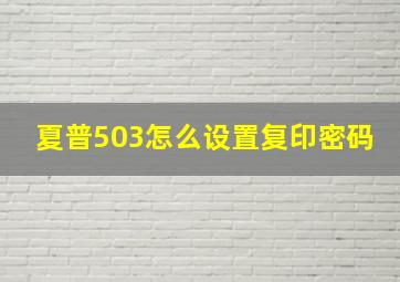 夏普503怎么设置复印密码