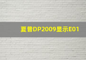 夏普DP2009显示E01