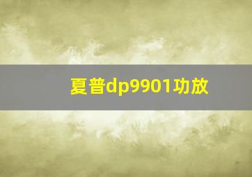 夏普dp9901功放