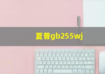 夏普gb255wj