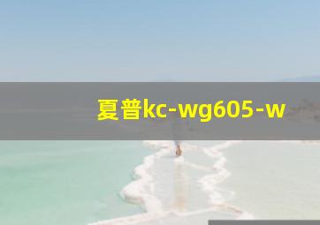 夏普kc-wg605-w