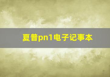 夏普pn1电子记事本