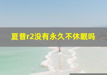 夏普r2没有永久不休眠吗