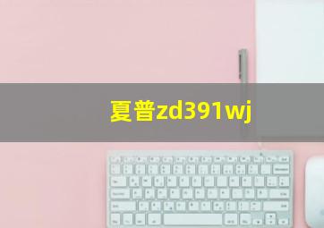 夏普zd391wj