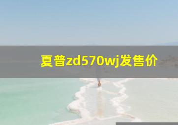 夏普zd570wj发售价