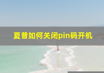 夏普如何关闭pin码开机