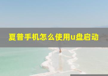 夏普手机怎么使用u盘启动