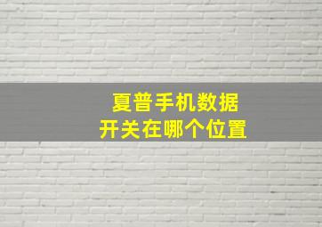 夏普手机数据开关在哪个位置