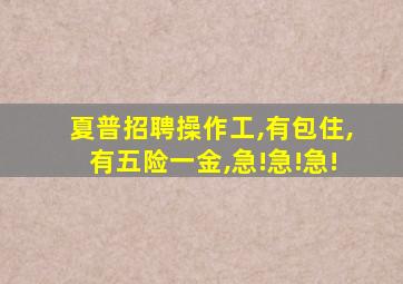 夏普招聘操作工,有包住,有五险一金,急!急!急!