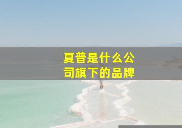 夏普是什么公司旗下的品牌