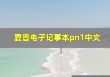 夏普电子记事本pn1中文