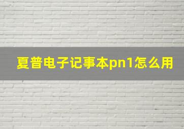 夏普电子记事本pn1怎么用