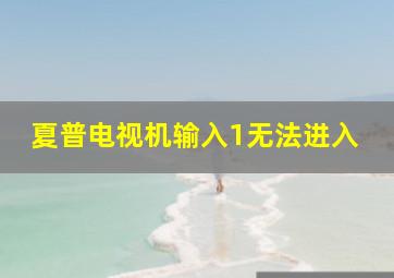 夏普电视机输入1无法进入