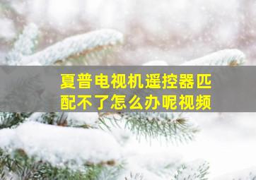 夏普电视机遥控器匹配不了怎么办呢视频