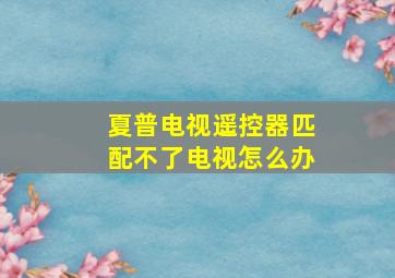 夏普电视遥控器匹配不了电视怎么办