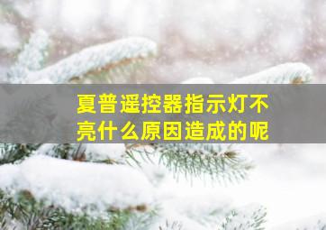 夏普遥控器指示灯不亮什么原因造成的呢