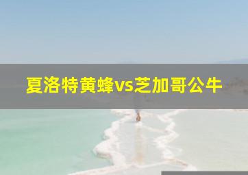 夏洛特黄蜂vs芝加哥公牛