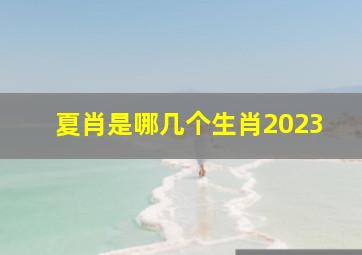 夏肖是哪几个生肖2023