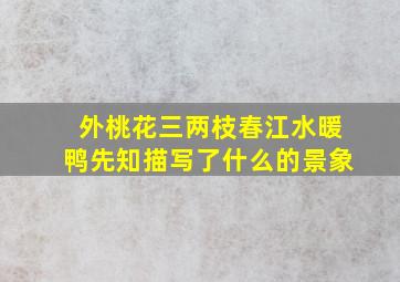 外桃花三两枝春江水暖鸭先知描写了什么的景象