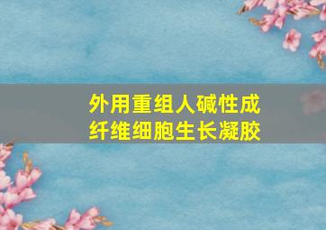 外用重组人碱性成纤维细胞生长凝胶