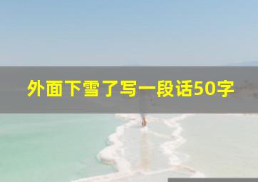 外面下雪了写一段话50字