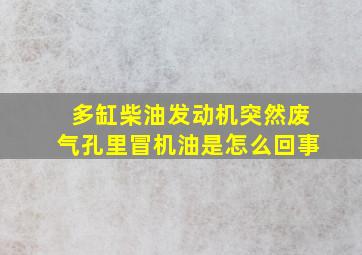 多缸柴油发动机突然废气孔里冒机油是怎么回事