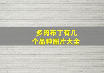 多肉布丁有几个品种图片大全