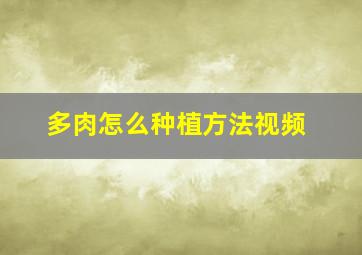 多肉怎么种植方法视频