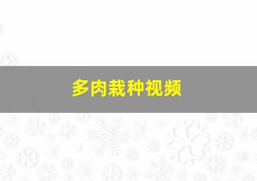 多肉栽种视频