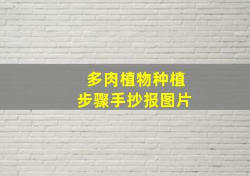 多肉植物种植步骤手抄报图片