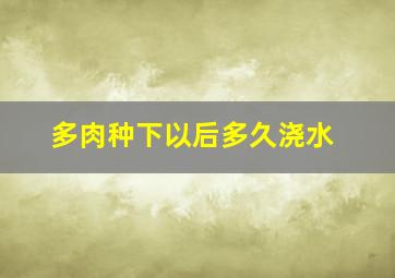 多肉种下以后多久浇水