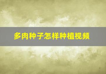 多肉种子怎样种植视频