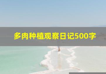 多肉种植观察日记500字