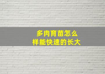 多肉育苗怎么样能快速的长大