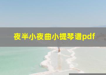 夜半小夜曲小提琴谱pdf