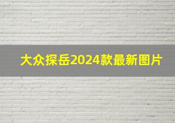 大众探岳2024款最新图片