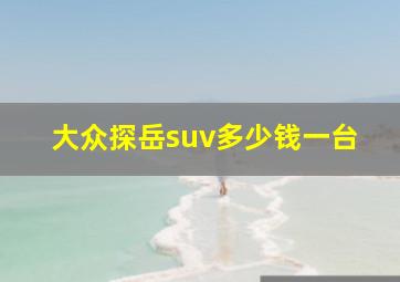 大众探岳suv多少钱一台