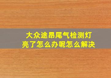 大众途昂尾气检测灯亮了怎么办呢怎么解决