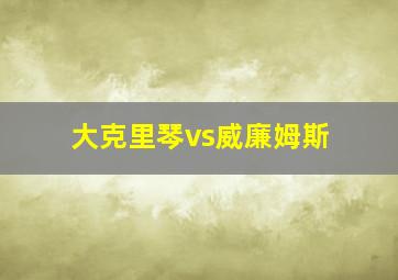 大克里琴vs威廉姆斯