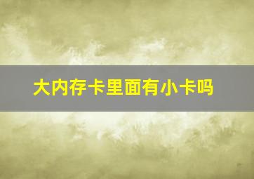 大内存卡里面有小卡吗