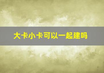 大卡小卡可以一起建吗