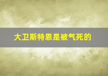 大卫斯特恩是被气死的