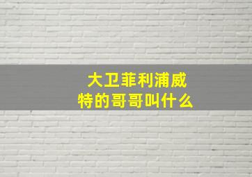 大卫菲利浦威特的哥哥叫什么