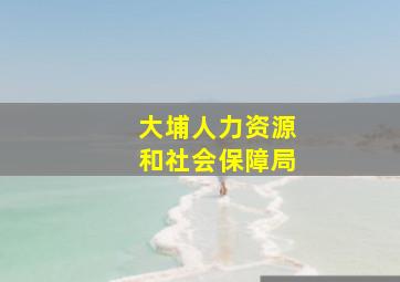 大埔人力资源和社会保障局