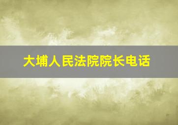 大埔人民法院院长电话