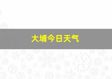 大埔今日天气