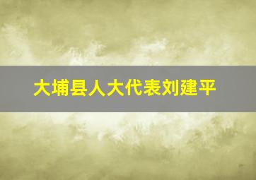 大埔县人大代表刘建平